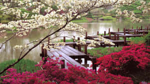 Captivating Spring Outdoors Landscape Wallpaper