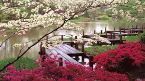 Captivating Spring Outdoors Landscape Wallpaper