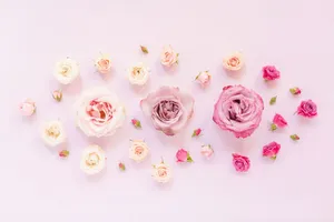 Captivating Spring Pastel Scenery Wallpaper