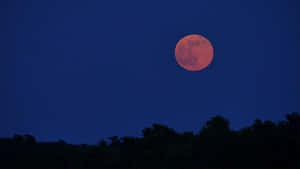 Captivating Strawberry Moon Illuminating The Night Sky Wallpaper