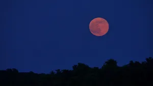 Captivating Strawberry Moon Illuminating The Night Sky Wallpaper