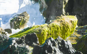 Captivating Sunrise At The Waves Wallpaper