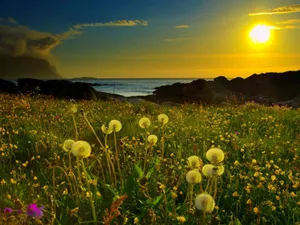 Captivating Sunset Hues Over The Horizon Wallpaper