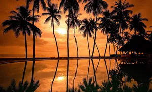 Captivating Sunset Reflection Over The Water Wallpaper