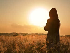 Captivating Sunset Silhouette Wallpaper