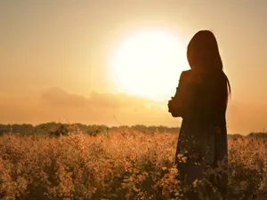 Captivating Sunset Silhouette Wallpaper