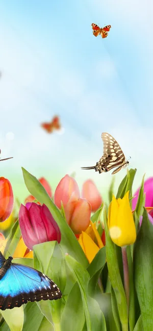 Captivating Tulip Field Landscape Wallpaper