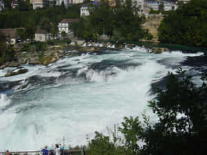 Captivating View Of Rhine Falls, Schaffhausen Wallpaper