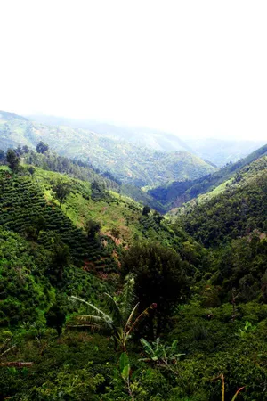 Captivating View Of The Blue Mountains Wallpaper