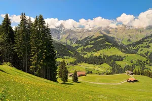 Captivating View Of Thun Cityscape Wallpaper