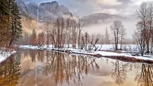 Captivating Winter Landscape Wallpaper