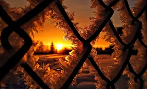 Captivating Winter Sunset Wallpaper