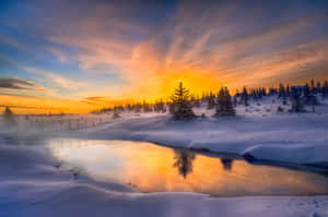 Captivating Winter Sunset Wallpaper