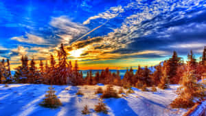 Captivating Winter Sunset Wallpaper