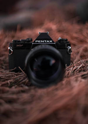 Capture The Beauty Of Life With A Pentax Camera Wallpaper