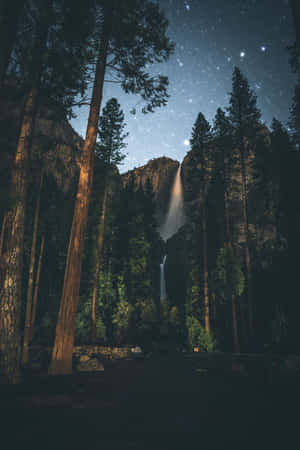 Capturing A Moment In Time With Portrait Mode - Photo By Lily Wallpaper