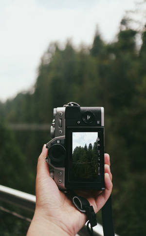 “capturing Life Through The Lens” Wallpaper