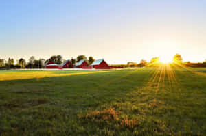 Capturing The Beauty Of A Summers Day On The Family Farm Wallpaper