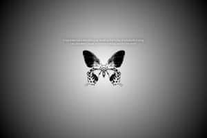 Capturing The Butterfly Effect Wallpaper