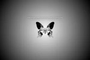 Capturing The Butterfly Effect Wallpaper