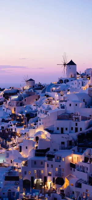 Capturing Your Best Photographs With Portrait Mode Wallpaper