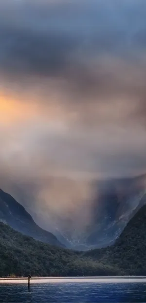 Capturing Your Best Self With Portrait Mode Wallpaper