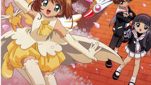 Cardcaptor Sakura Tomoyo Syaoran Scene Wallpaper