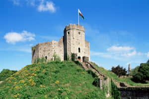 Cardiff Castle Sunny Day Wallpaper