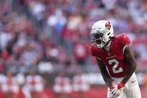 Cardinals Player Number2 On Field Wallpaper