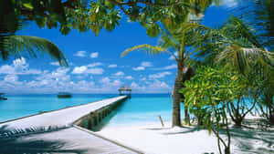 Caribbean Paradise Beach Dock Wallpaper