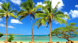 Caribbean Paradise Beach Wallpaper Wallpaper