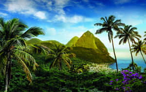 Caribbean_ Paradise_ View Wallpaper