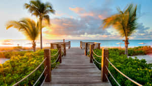 Caribbean Sunrise Boardwalk Wallpaper