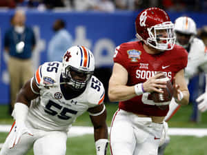 Carl Lawson Vs Wallpaper