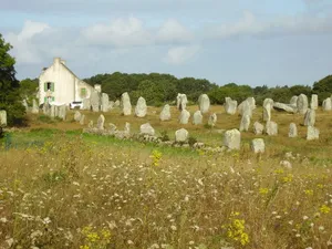 Carnac Stones Alignment Historical Landmark Wide Angle Shot Wallpaper