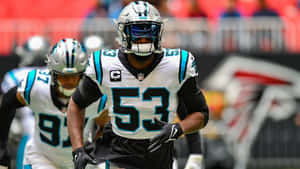 Carolina Panthers Linebacker In Action Wallpaper