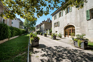 Carouge Switzerland Sunny Street Scene Wallpaper