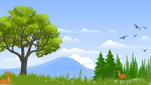 Cartoon Forest Landscape Wallpaper