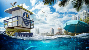 Cartoon Miami Sea Wallpaper