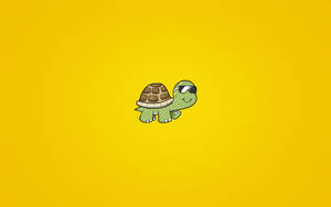 Cartoon Turtle With Sunglasses Wallpaper