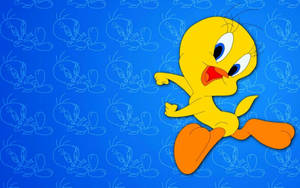 Cartoons Tweety Bird Wallpaper