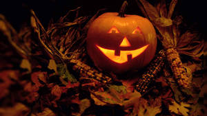 Carved Pumpkin With Corn Halloween Computer Wallpaper