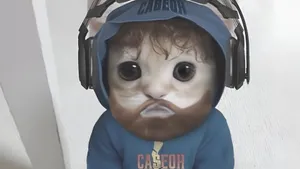 Caseoh Cat Avatar Wallpaper