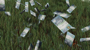 Cash Fallingon Grass Wallpaper