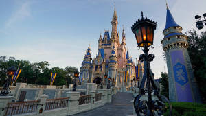 Castle Pathway Walt Disney World Desktop Wallpaper