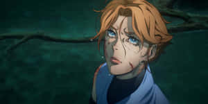 Castlevania Sypha Concerned Expression Wallpaper