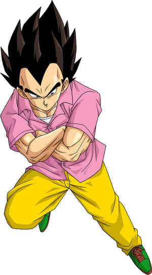 Casual Vegeta Anime Artwork Wallpaper