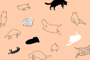 Cat Art Minimalist Outline Illustration Wallpaper