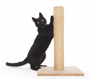 Cat Enjoying A Scratching Post Wallpaper
