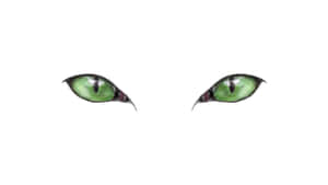 Cat Green Eyes Digital Illustration Wallpaper